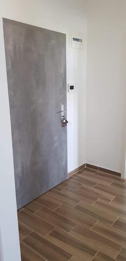 ブラショフApartament Modern Ioan Popasuアパートメント エクステリア 写真