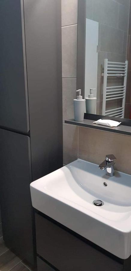ブラショフApartament Modern Ioan Popasuアパートメント エクステリア 写真